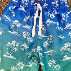 Blue and Green Palm Tree Swim Shorts